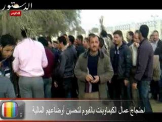 احتجاج عمال الكيماويات بالفيوم .