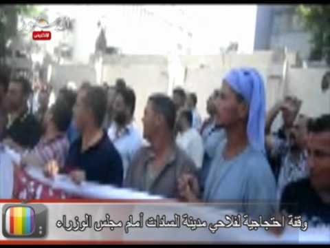 وقفة احتجاجية لفلاحي مدينة السادات أمام مجلس الوزراء