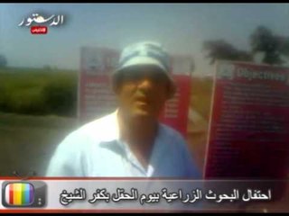 احتفال البحوث الزراعية بيوم الحقل بكفر الشيخ