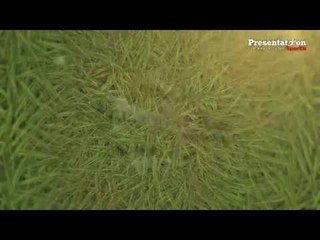 اليوم الثلث لبريزنتيشن سبورت في روسيا