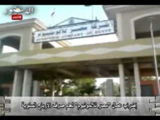 إضراب عمال "مصر للالمونيوم" لعدم صرف الارباح السنوية