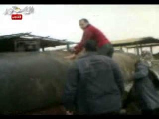 ضبط 161الف لتر سولار و مصانع زيوت غير مرخصة بالبحيرة