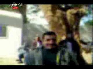 إغلاق أبواب مديرية الشئون الصحية من جانب المطالبين بالتثبيت