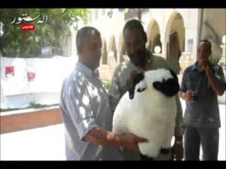 انتشار بيع الخرفان بمحيط الاتحادية والمتظاهرو​ن يتنافسون للشراء