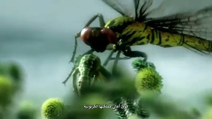 “برفقة الوحوش” “الحياة ما قبل الديناصورات” ح2