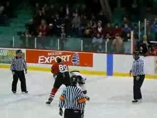 Holland vs Roy