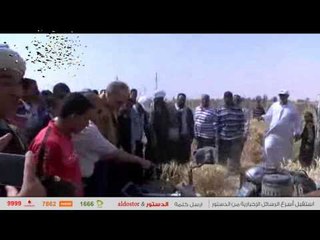 محافظ الوادي الجديد يشهد حصاد القمح