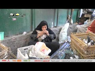 "الدستور" ترصد استقرارا بأسعار "الخضروات" وارتفاعا بـ "الدواجن"