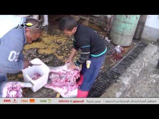 شاهد.. أقدم جزار في "المدبح" يوضح الفرق بين لحمة رأس "الحمير" و"البقري"