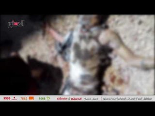 الدستور | لحظة إشعال عامل النار في نفسه اعتراضا على إزالة "مقهى" بسوهاج