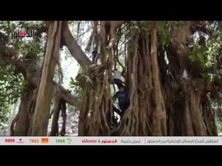 الدستور | "ضحك ولعب" حديقة الحيوان في أول أيام عيد الفطر