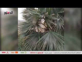 الدستور | شاهد كيف «ردم» ممدوح حمزة 15 ألف متر في نهر النيل؟