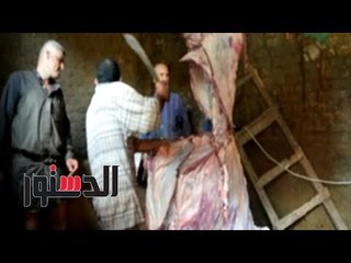 الدستور | أطفال الدقهلية تحتفل وتكتمل فرحتهم بجوار الإضاحي