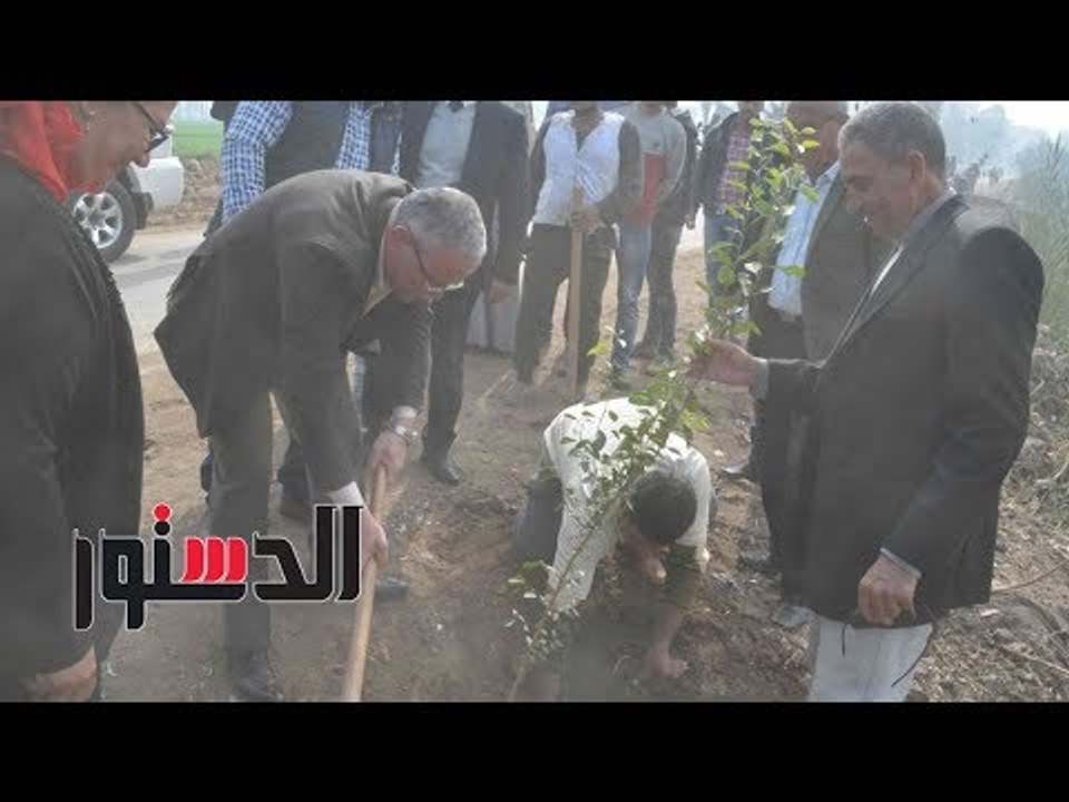الدستور | محافظ المنيا يغرس شجرة مثمرة بطريق أب...