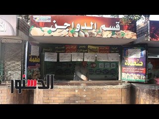 الدستور | 58 جنيها سعر كيلو الديك الرومي بمنافذ «الزراعة»