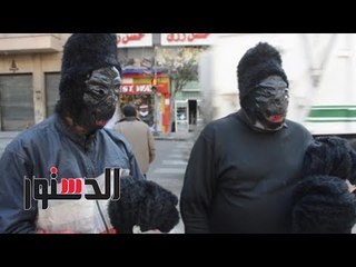 الدستور | «الغوريلا» تظهر في شوارع وسط البلد