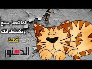 الدستور - كومكس ..لما تعمل سبع وتكتشف انك قطه