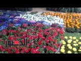 الدستور - ساعات قبل افتتاح معرض الزهور في «الأورمان» بمشاركة دولية