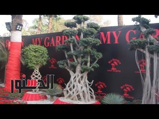 الدستور | أشجار «البونساي» في مصر يمتد عمرها لـ«قرون»