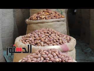 الدستور | تاجر: بنخزن البلح فى الجبل ونبخره.. وديه الاأنواع الكويسة منه