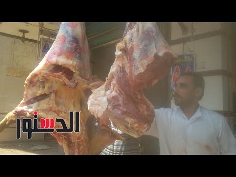 الدستور | استقرار أسعار اللحوم والدواجن والأسماك قبل العيد
