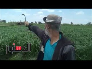 الدستور | أهالي "منية السعيد" يستغيثون: أنقذونا من الثعابين