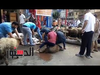 الدستور | الإسكندرانية يتحدون قرار المحافظ ويذبحون الأضاحي بالشوارع