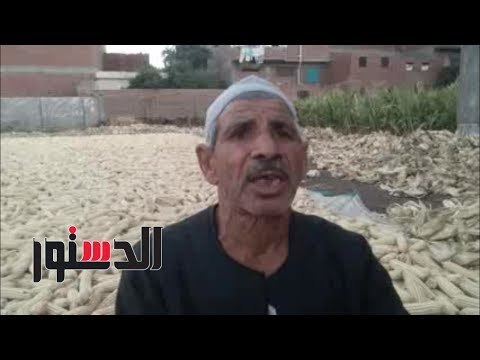 الدستور | الدستور ترصد مشاكل ومطالب المزراعين بالبحيرة