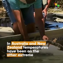 Extreme Temperatures Are Smashing Records Around The World