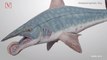 Scientists Recreate Ancient Shark’s Jaw To Solve Big Mysteries About The Creature