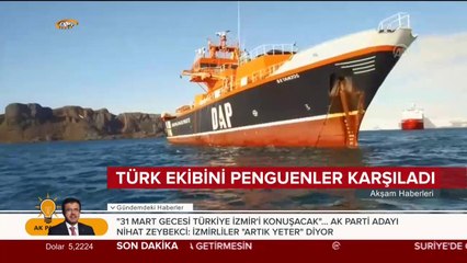 Türk ekibini penguenler karşıladı