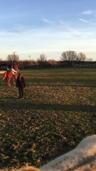 Silly Horse Smiles for the Camera