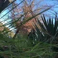 Son Scares His Mom Again and Again