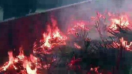 Thousands pray at Shanghai temple at start of Lunar New Year