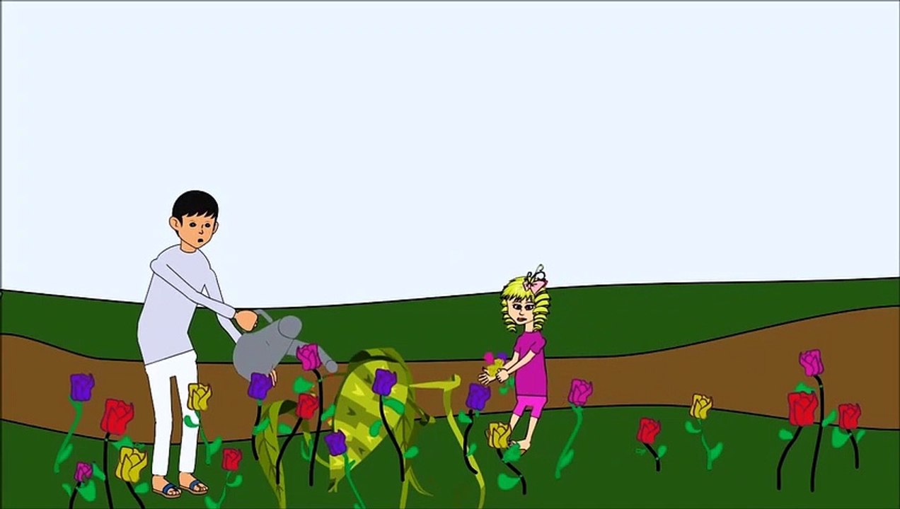 Pretty Flowers