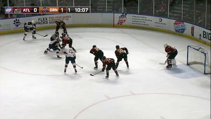 ECHL Atlanta Gladiators 0 at Greenville Swamp Rabbits 2