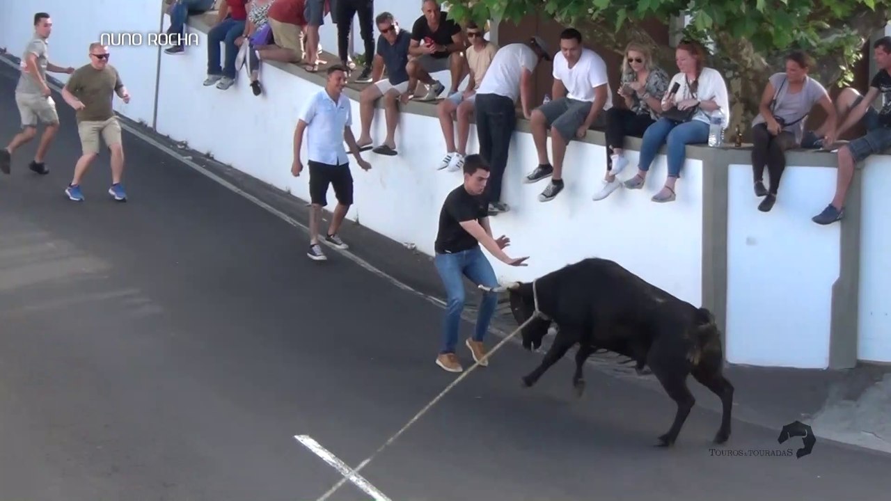 MEDIR FORÇAS - HOMEM VS TOURO
