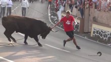 TOUROS CORREM NAS ESTRADAS