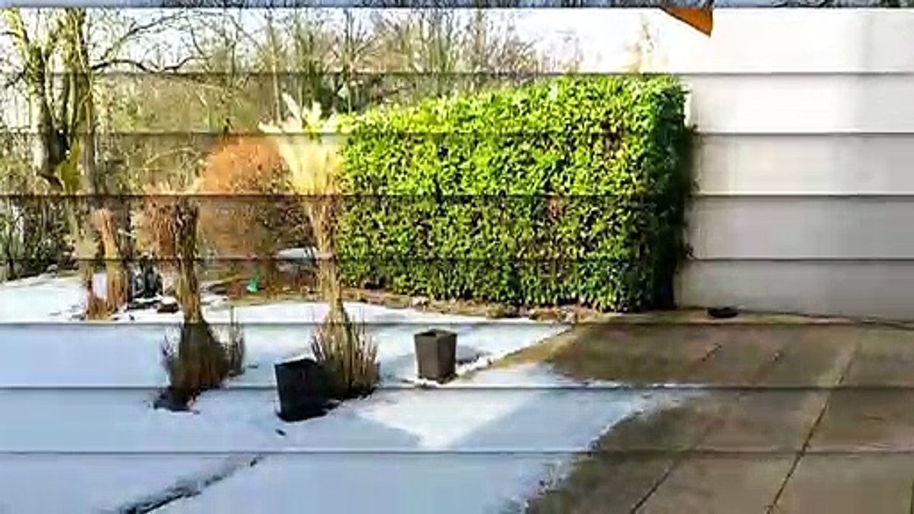 A louer - Appartement - Nyon (1260) - 3.5 pièces - 110m²