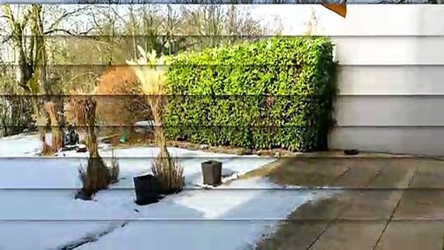 A louer - Appartement - Nyon (1260) - 3.5 pièces - 110m²