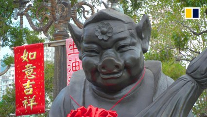 Year of the Pig predictions