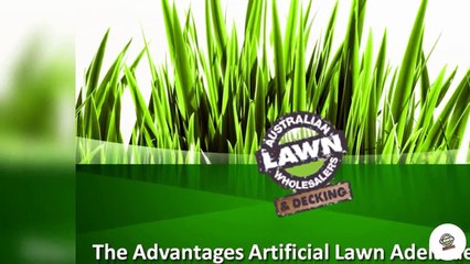 Advantages Of Artificial Lawn Adelaide Can Offer