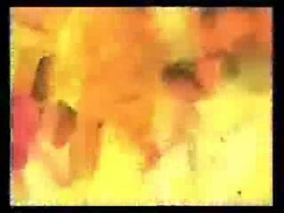 Ali415742