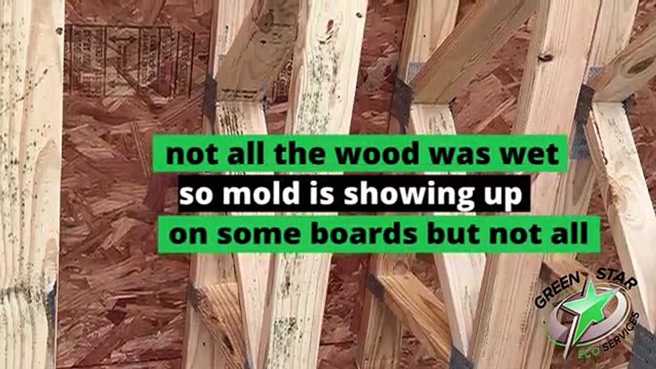New Home Construction with Mold