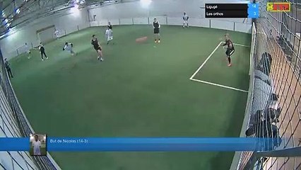 But de Nicolas  (14-3) - Ligugé Vs Les orthos - 04/02/19 21:00 - Ligue A - Poitiers Game Parc