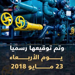 10 معلومات عن المنطقة الصناعية الروسية بقناة السويس