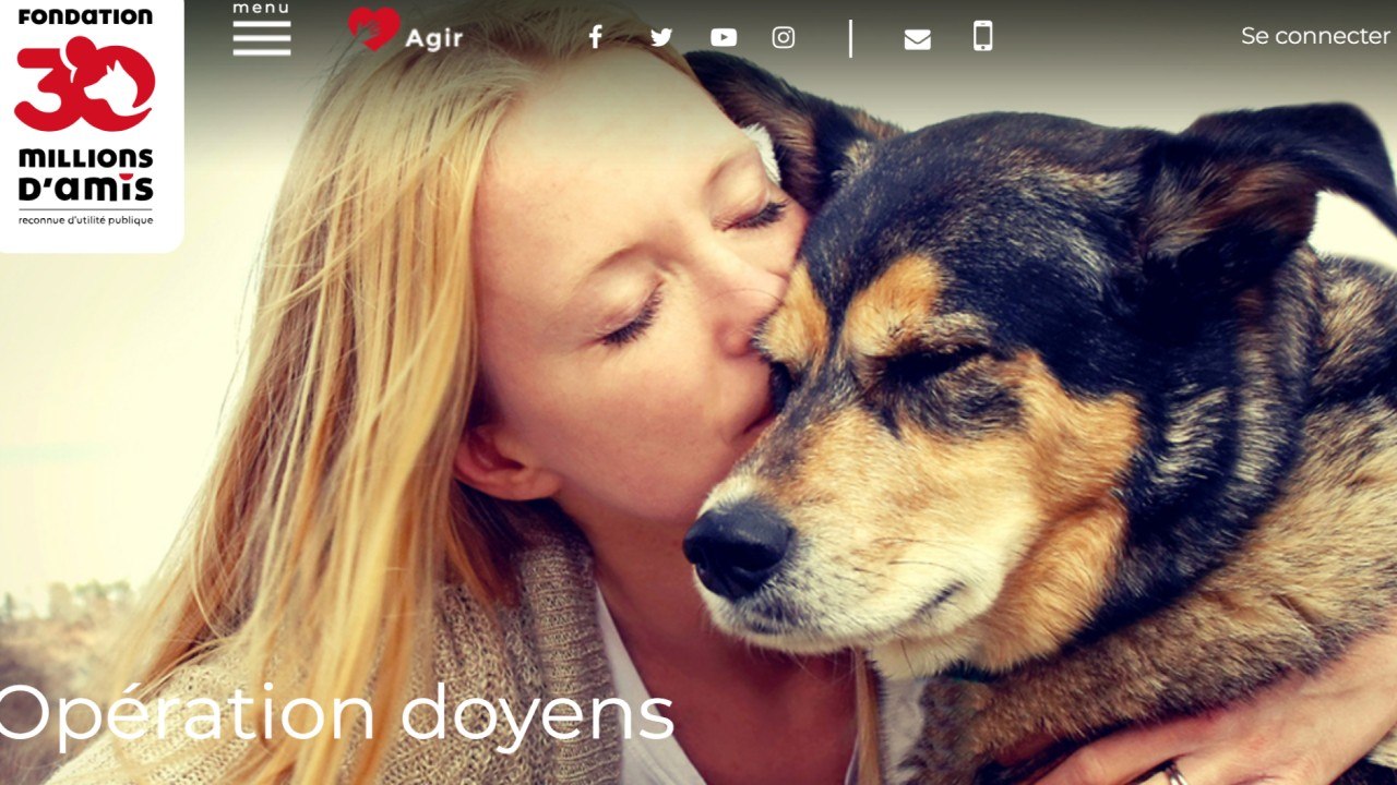 L'association 30 millions d'amis vous aide à adopter un vieux chien