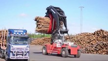New Tree and Wood Cutting Technology.