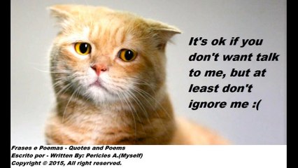 It's ok if you don't want talk to me,  but don't ignore me [Quotes and Poems]