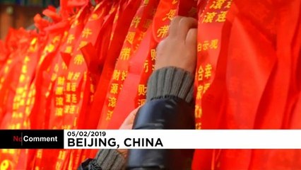 Cina, si apre l'Anno del Maiale